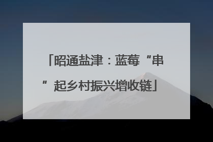 昭通盐津：蓝莓“串”起乡村振兴增收链
