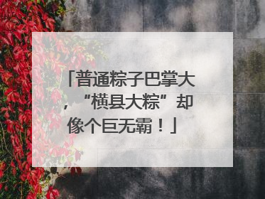 普通粽子巴掌大，“横县大粽”却像个巨无霸！