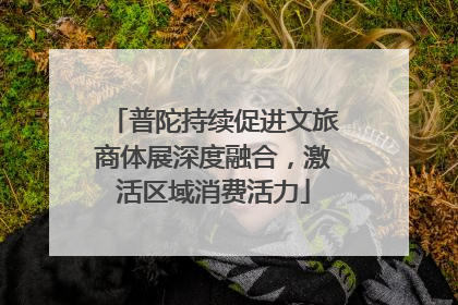 普陀持续促进文旅商体展深度融合，激活区域消费活力