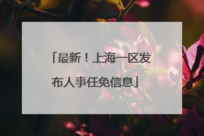 最新！上海一区发布人事任免信息