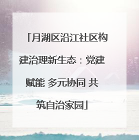 月湖区沿江社区构建治理新生态：党建赋能 多元协同 共筑自治家园