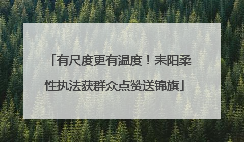 有尺度更有温度！耒阳柔性执法获群众点赞送锦旗
