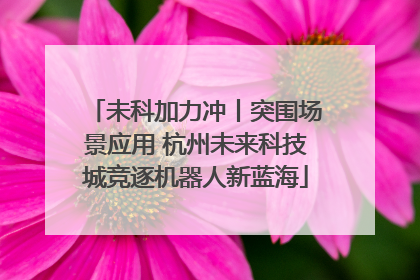 未科加力冲丨突围场景应用 杭州未来科技城竞逐机器人新蓝海