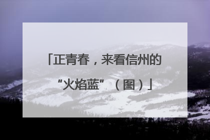 正青春，来看信州的“火焰蓝”（图）