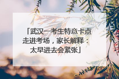 武汉一考生特意卡点走进考场，家长解释：太早进去会紧张