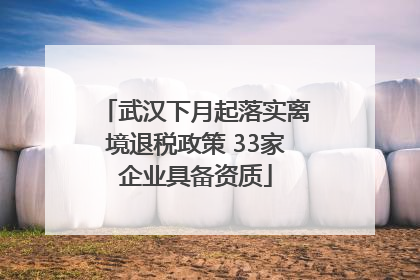 武汉下月起落实离境退税政策 33家企业具备资质