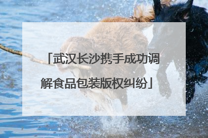 武汉长沙携手成功调解食品包装版权纠纷