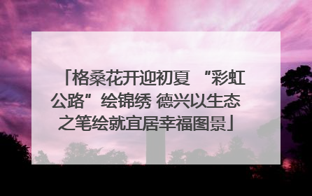 格桑花开迎初夏 “彩虹公路”绘锦绣 德兴以生态之笔绘就宜居幸福图景