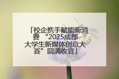校企携手赋能新消费 “2025成都大学生新媒体创意大赛”圆满收官