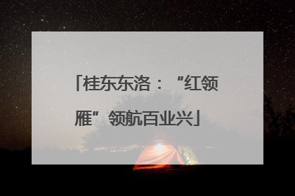 桂东东洛：“红领雁”领航百业兴