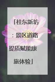 桂东新坊：景区道路提质赋能康旅体验