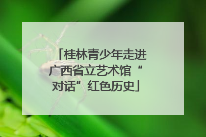 桂林青少年走进广西省立艺术馆“对话”红色历史
