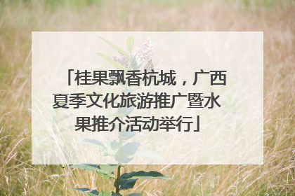 桂果飘香杭城，广西夏季文化旅游推广暨水果推介活动举行
