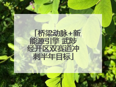 桥梁动脉+新能源引擎 武陟经开区双赛道冲刺半年目标