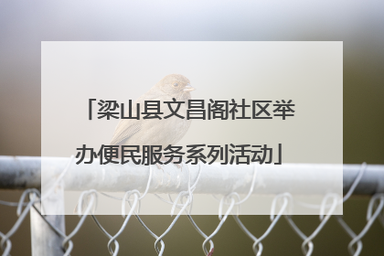 梁山县文昌阁社区举办便民服务系列活动