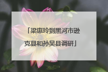 梁惠玲到黑河市逊克县和孙吴县调研