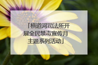 横道河司法所开展全民禁毒宣传月主题系列活动