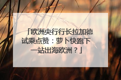 欧洲央行行长拉加德试乘点赞：萝卜快跑下一站出海欧洲？