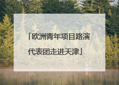 欧洲青年项目路演代表团走进天津