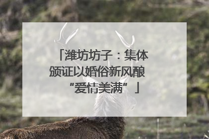 潍坊坊子：集体颁证以婚俗新风酿“爱情美满”