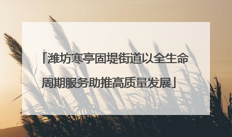 潍坊寒亭固堤街道以全生命周期服务助推高质量发展