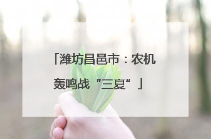潍坊昌邑市：农机轰鸣战“三夏”
