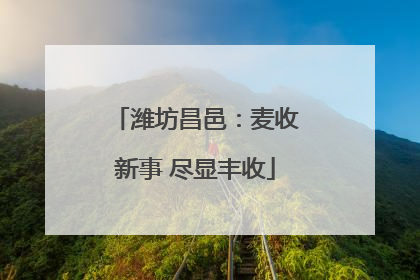 潍坊昌邑：麦收新事 尽显丰收
