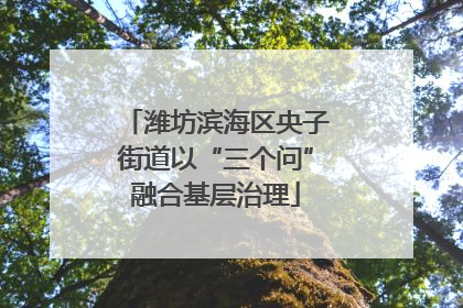 潍坊滨海区央子街道以“三个问”融合基层治理