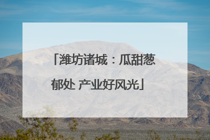 潍坊诸城：瓜甜葱郁处 产业好风光