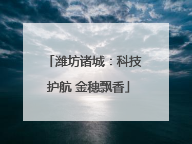 潍坊诸城：科技护航 金穗飘香