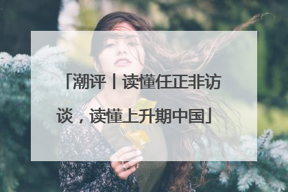 潮评丨读懂任正非访谈，读懂上升期中国