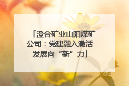 澄合矿业山阳煤矿公司：党建融入激活发展向“新”力