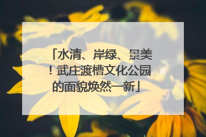 水清、岸绿、景美！武庄渡槽文化公园的面貌焕然一新