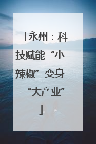永州：科技赋能“小辣椒”变身“大产业”