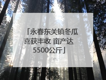 永春东关镇冬瓜喜获丰收 亩产达5500公斤