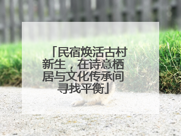 民宿焕活古村新生，在诗意栖居与文化传承间寻找平衡