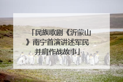 民族歌剧《沂蒙山》南宁首演讲述军民并肩作战故事