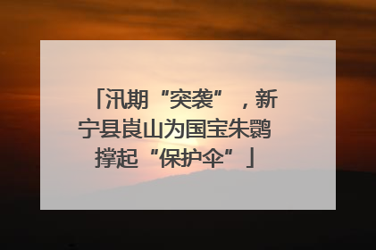汛期“突袭”，新宁县崀山为国宝朱鹮撑起“保护伞”