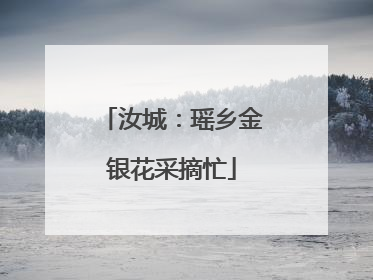 汝城：瑶乡金银花采摘忙