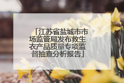 江苏省盐城市市场监管局发布救生衣产品质量专项监督抽查分析报告