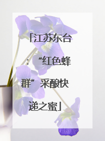 江苏东台：“红色蜂群”采酿快递之蜜