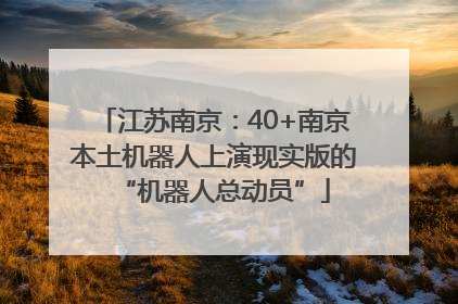 江苏南京：40+南京本土机器人上演现实版的“机器人总动员”