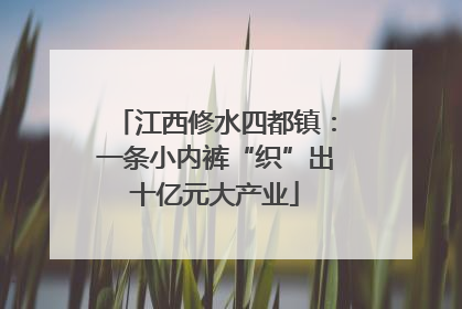 江西修水四都镇：一条小内裤“织”出十亿元大产业