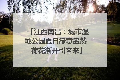 江西南昌：城市湿地公园夏日绿意盎然 荷花渐开引客来