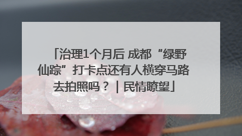 治理1个月后 成都“绿野仙踪”打卡点还有人横穿马路去拍照吗？｜民情瞭望