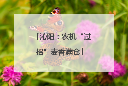 沁阳：农机“过招”麦香满仓