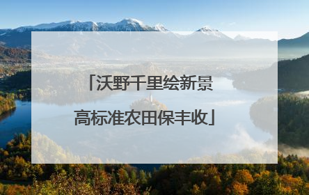 沃野千里绘新景 高标准农田保丰收