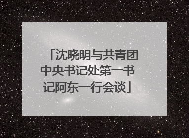 沈晓明与共青团中央书记处第一书记阿东一行会谈
