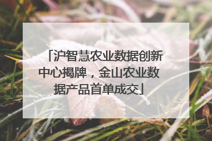 沪智慧农业数据创新中心揭牌，金山农业数据产品首单成交