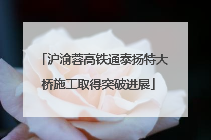 沪渝蓉高铁通泰扬特大桥施工取得突破进展